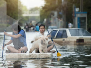 riskreport2026_overlay_1